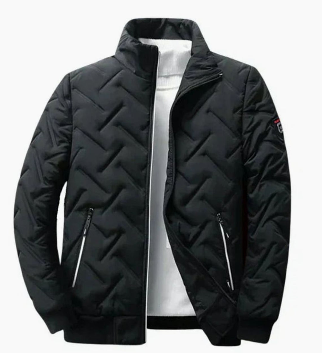 Herren Gesteppte Winterjacke mit Stehkragen Gefüttert - Schwarz