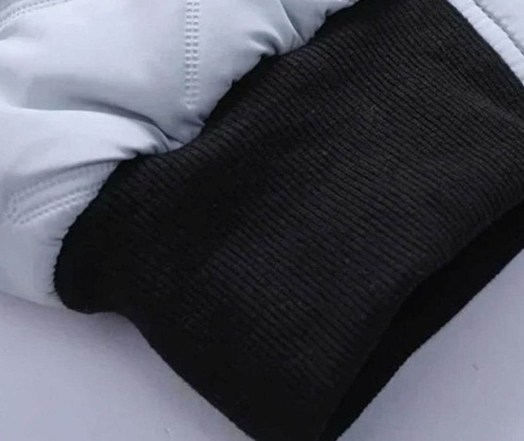Herren Gesteppte Winterjacke mit Stehkragen Gefüttert