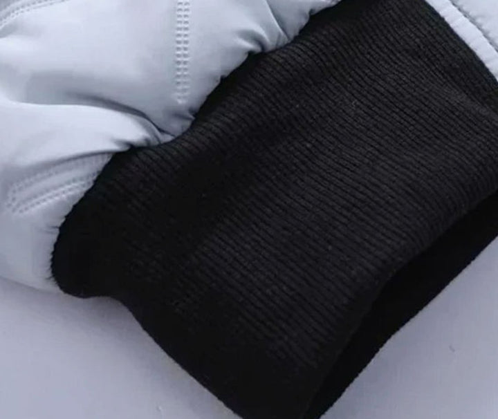 Herren Gesteppte Winterjacke mit Stehkragen Gefüttert